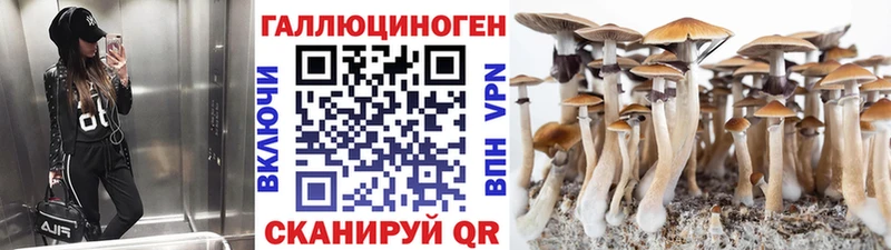 Галлюциногенные грибы мухоморы Купить где Стерлитамак